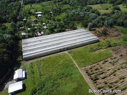 FINCA DE 222 TAREAS DE VENTA EN BONAO