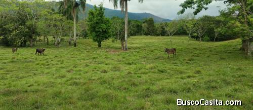 FINCA DE 97 TAREAS DE VENTA EN BONAO