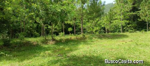 FINCA DE 780 TAREAS DE VENTA EN BONAO