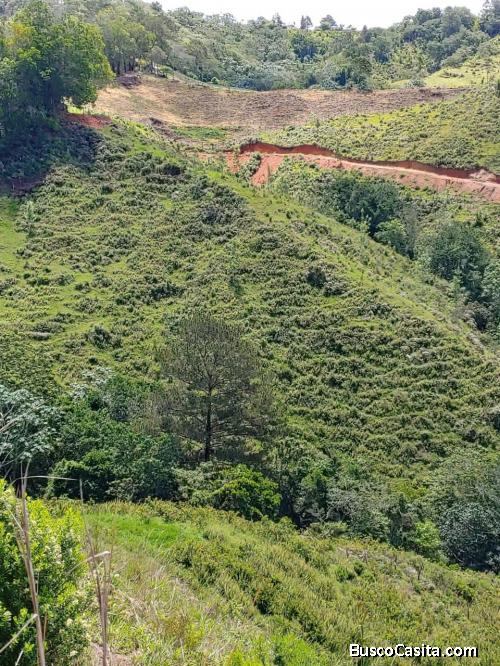 FINCA DE 84 TAREAS DE VENTA EN JARABACOA