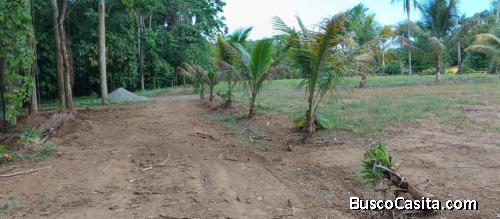SOLARES DE VENTA EN PROYECTO ECOTURISTICO DE BONAO