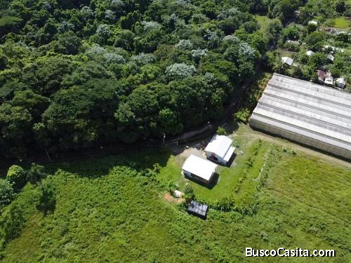 FINCA DE 222 TAREAS DE VENTA EN BONAO