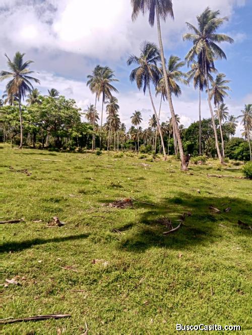 TERRENO DE 57,000 MTR CON PLAYA DE VENTA EN SAMANA