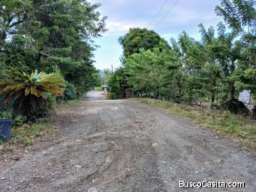 TERRENO DE 10,000 MTR DE VENTA EN JARABACOA