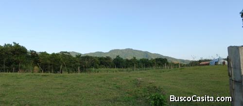 FINCA DE 56 TAREAS DE VENTA EN BONAO
