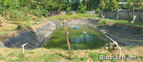TERRENO DE 5,100 MTR DE VENTA EN BONAO