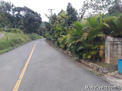 FINCA DE 22 TAREAS CON UNA VILLA DE VENTA EN BONAO