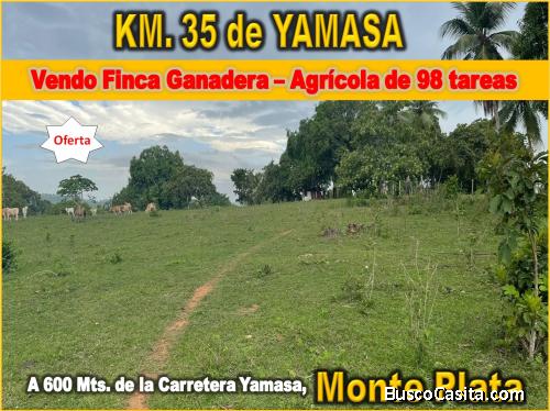Vendo Finca GANADERA – AGRICOLA de 98 tareas en el 35 de YAMASA de Oportunidad