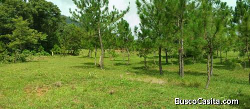 FINCA DE 780 TAREAS DE VENTA EN BONAO