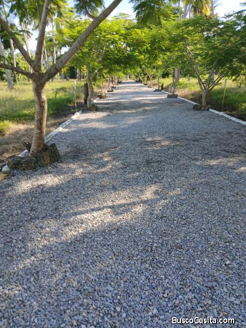 31 TAREAS CON TRES VILLAS DE VENTA EN RIO SAN JUAN