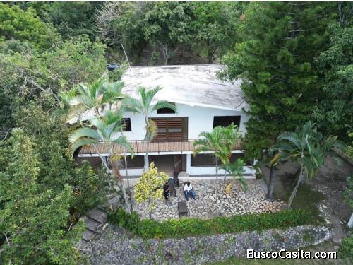 FINCA DE 50 TAREAS CON SIEMBRA DE VENTA EN SAN CRISTOBAL