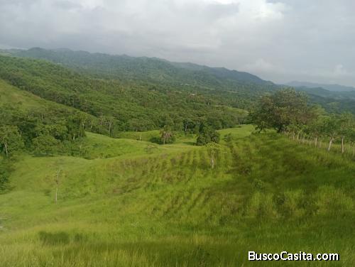 FINCA DE 1,400 TAREAS DE VENTA EN MAIMON