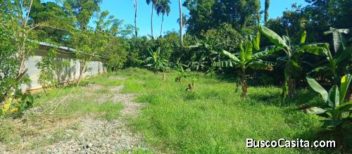 TERENO DE 8 TAREAS DE VENTA EN BONAO