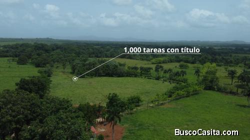 FINCA DE 1,000 TAREAS DE VENTA EN MONTE PLATA