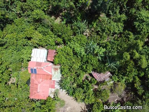 FINCA DE 38 TAREAS CON RIO DE VENTA EN BONAO