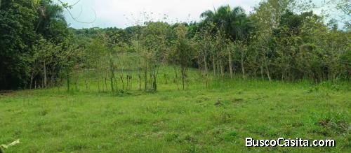 FINCA DE 150 TAREAS DE VENTA EN BONAO