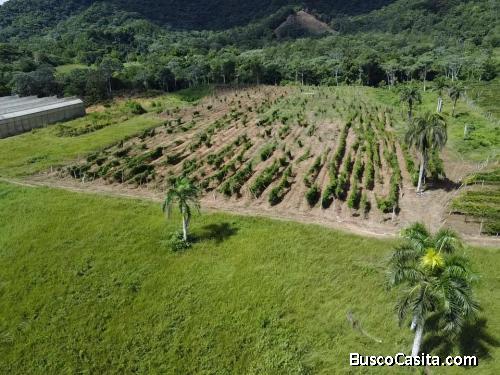FINCA DE 222 TAREAS DE VENTA EN BONAO