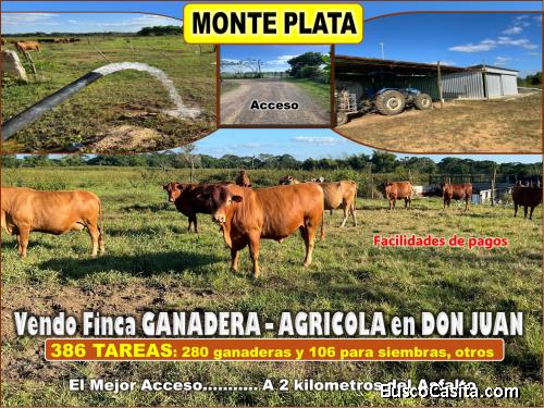 Vendo Finca GANADERA – AGRICOLA, de 386 tareas, con la major Ubicacion de Don Juan, Provincia MONTE 