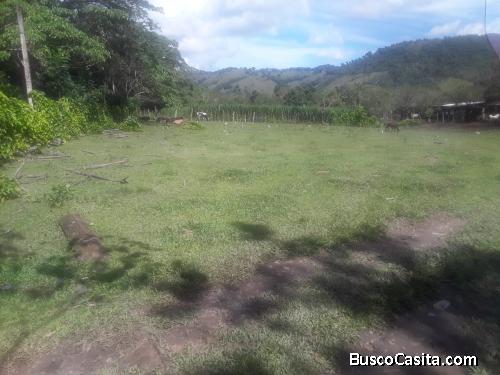 FINCA DE 60 TAREAS DE VENTA EN BONAO