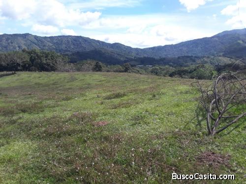 FINCA DE 125 TAREAS DE VENTA EN BONAO