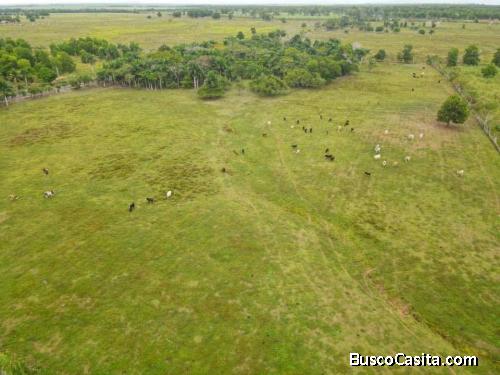 FINCA DE 630 TAREAS DE VENTA EN SAN PEDRO DE MACORIS