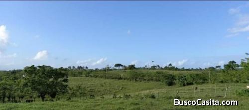 FINCA DE 485 TAREAS DE VENTA EN RIO SAN JUAN