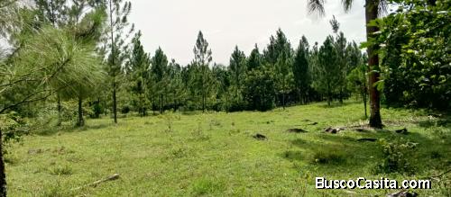 FINCA DE 780 TAREAS DE VENTA EN BONAO