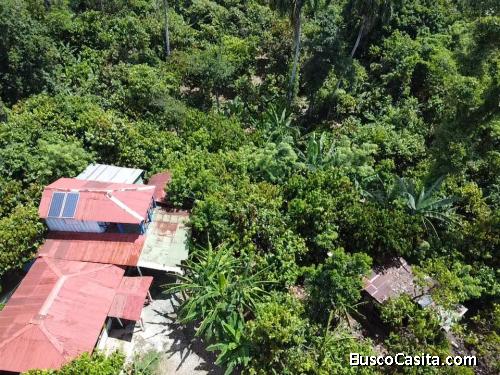 FINCA DE 38 TAREAS CON RIO DE VENTA EN BONAO
