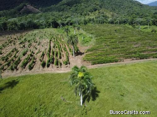 FINCA DE 222 TAREAS DE VENTA EN BONAO