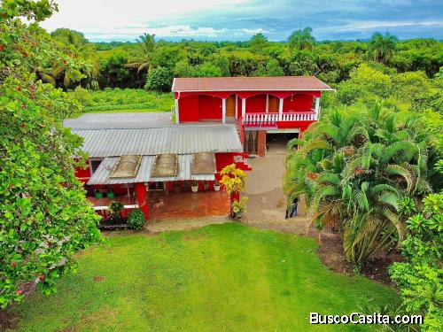 FINCA DE 24 TAREAS DE VENTA GUERRA