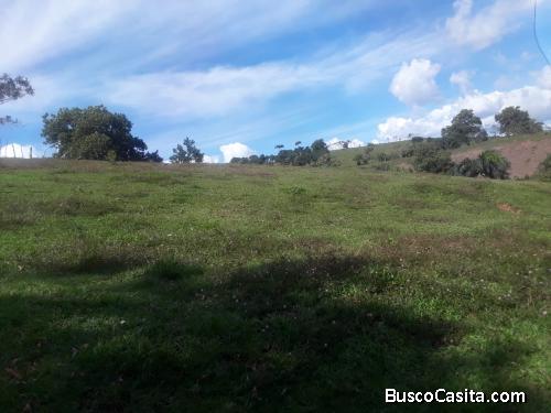FINCA DE 250 TAREAS DE VENTA EN BONAO