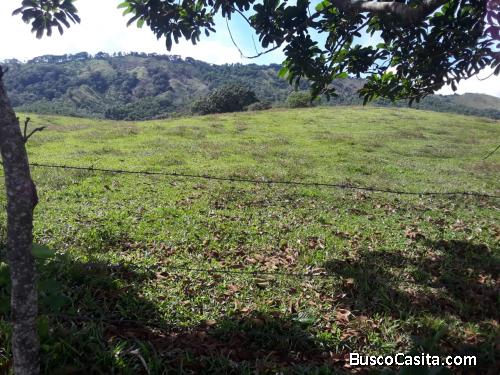 FINCA DE 125 TAREAS DE VENTA EN BONAO