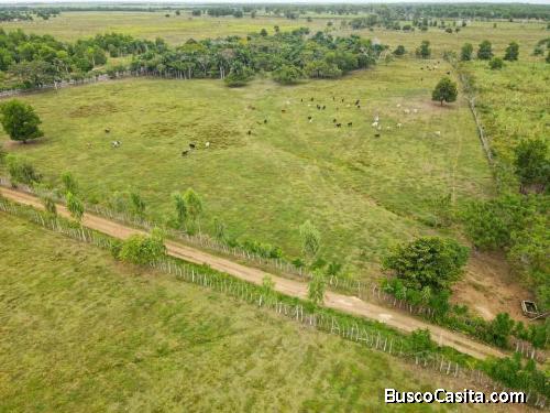 FINCA DE 630 TAREAS DE VENTA EN SAN PEDRO DE MACORIS