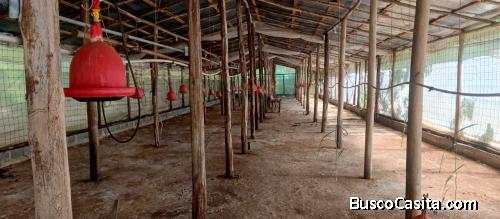 TERRENO DE 8 TAREAS DE VENTA EN BONAO