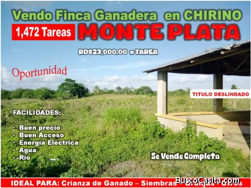 Vendo Finca Ganadera de 1,472 tareas en Chirino de Monte Plata, con Rio y el Mejor Acceso