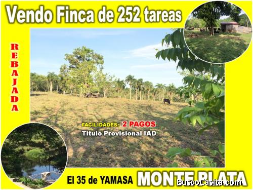 VENDO FINCA DE 252 TAREAS EN EL 35 DE YAMASA, PRECIO REBAJADO Y A 2 PAGOS, CON 2 RIOS DENTRO