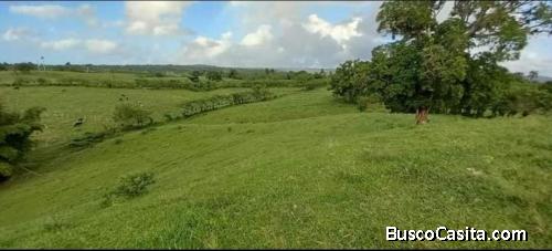 FINCA DE 485 TAREAS DE VENTA EN RIO SAN JUAN