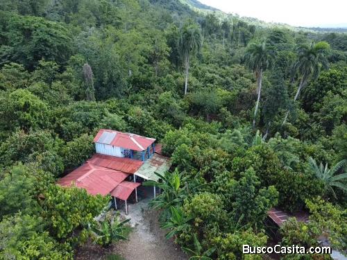 FINCA DE 38 TAREAS CON RIO DE VENTA EN BONAO