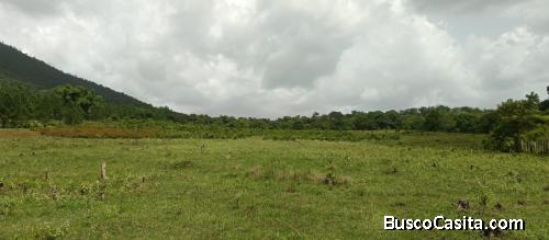 FINCA DE 780 TAREAS DE VENTA EN BONAO