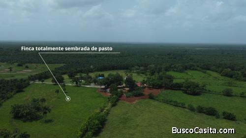 FINCA DE 1,000 TAREAS DE VENTA EN MONTE PLATA