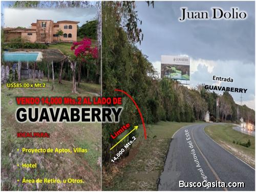  Vendo 14,000 Mts.2 de Terreno JUSTO AL LADO de GUAVABERRY en Juan Dolio