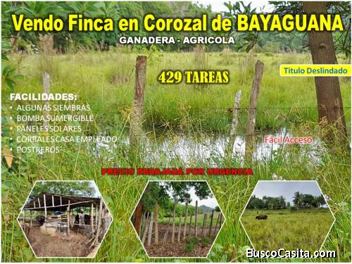 VENDO FINCA 429 TAREAS EN EL COROZAL DE BAYAGUANA, CERCA DE  CASA CLUB CONTRY LIFE, CON ARROYO DENTR
