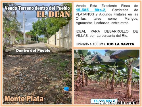 Vendo 15,585 Mts.2 SEMBRADO DE PLATANOS y dentro del Pueblo del DEAN, Monte Plata, PRECIO REBAJADO