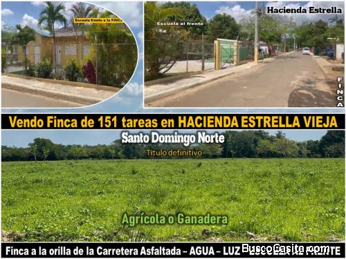 SE VENDE FINCA DE 151 TAREAS EN HACIENDA ESTRELLA, ASFALTO, A ORILLA DE LA CARRETERA