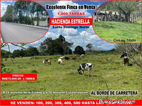 VENDO FINCA 1,000 TAREAS HACIENDA ESTRELLA, POR PARTES O COMPLETA, ASAFALTO,  A LA ORILLA DE LA CARR