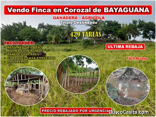 VENDO FINCA 429 TAREAS EN BAYAGUANA, ULTIMA REBAJA, cerca de la Casa Club Country Life