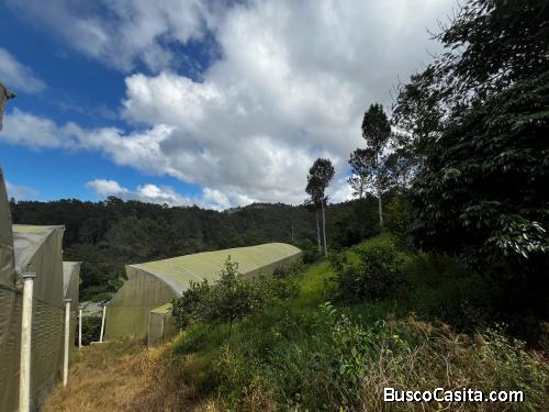 20 TAREAS DE VENTA EN JARABACOA