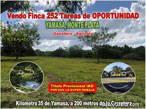 VENDO FINCA DE 252 TAREAS EN EL 35 DE YAMASA, SUPER REBAJADA