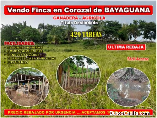 VENDO FINCA 429 TAREAS EN BAYAGUANA, ULTIMA REBAJA (GANADERA – AGRICOLA) 