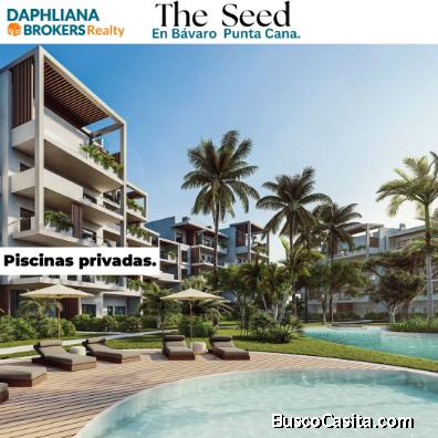 THE SEED Downtown Punta Cana
